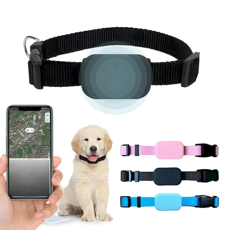 Pet GPS Tracking Collar 1