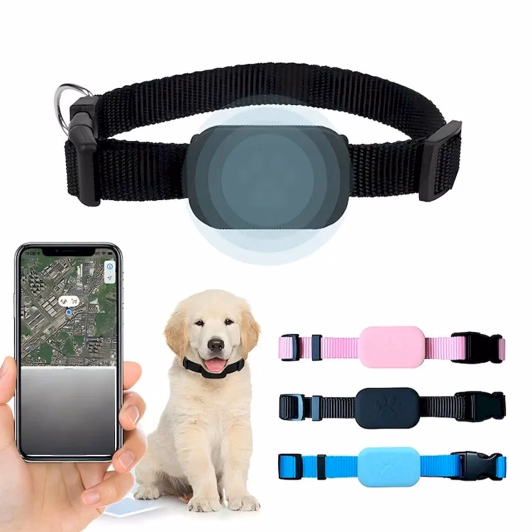 Pet GPS Tracking Collar