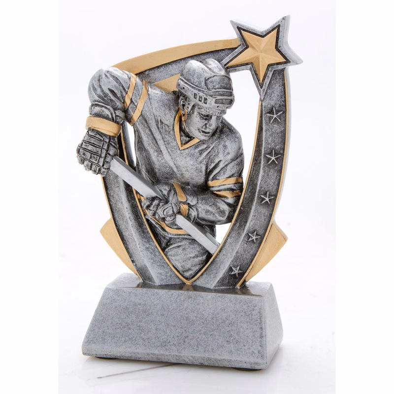 Hockey Shooter 3-D Star Resin