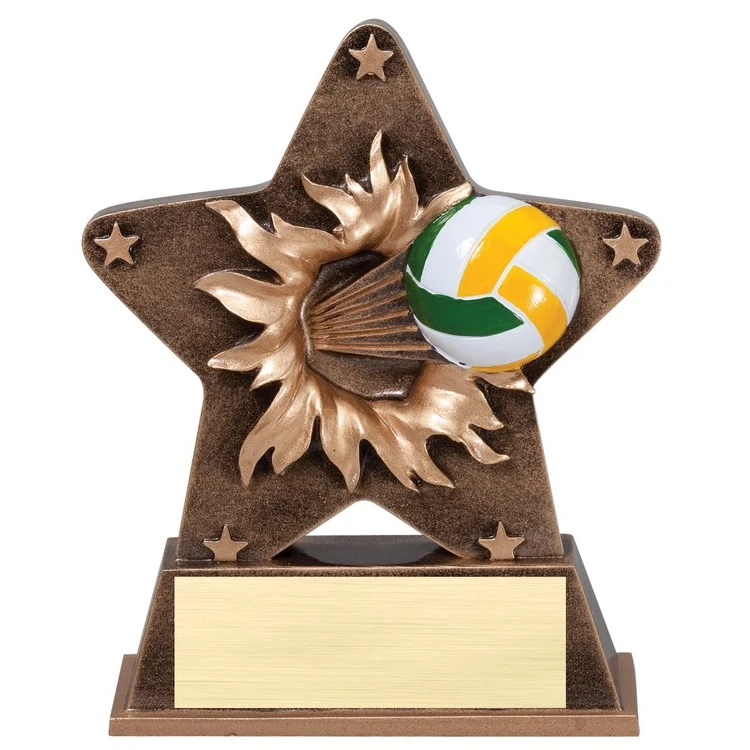 Volleyball Starburst Award 1