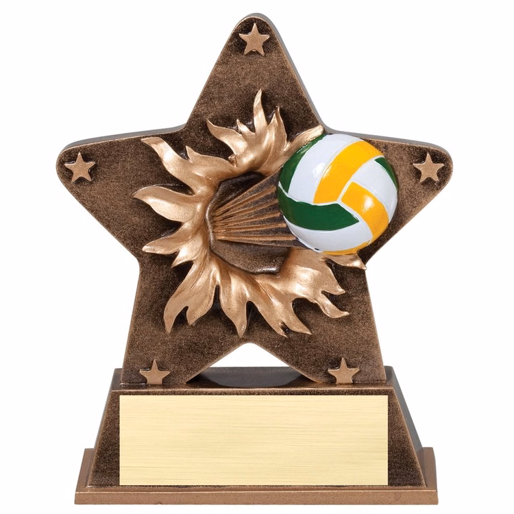 Volleyball Starburst Award