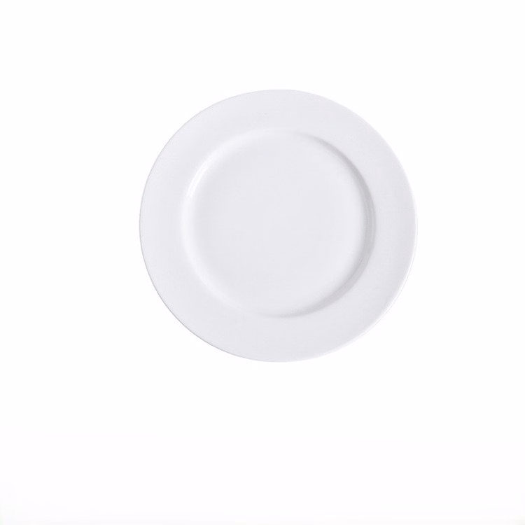 Round Simple Circular Shallow Dish