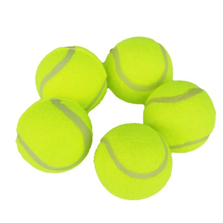 Pet Training Tennis 1