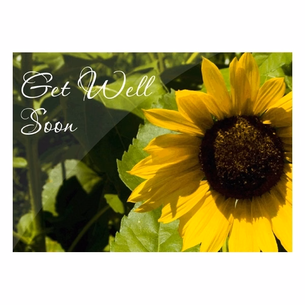 Sunflower Get Well Cards