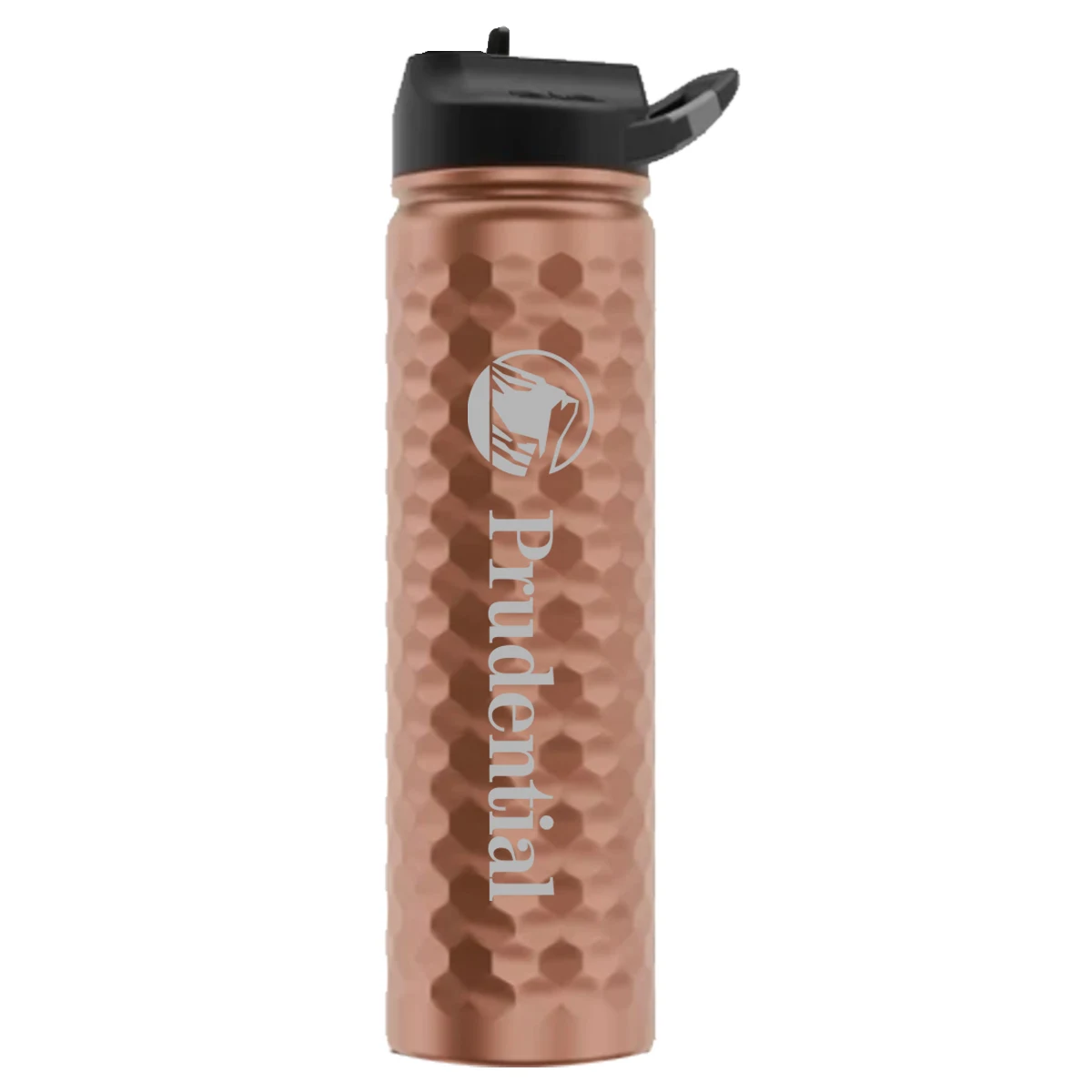 SIC 27oz Stainless Steel Bottle 1