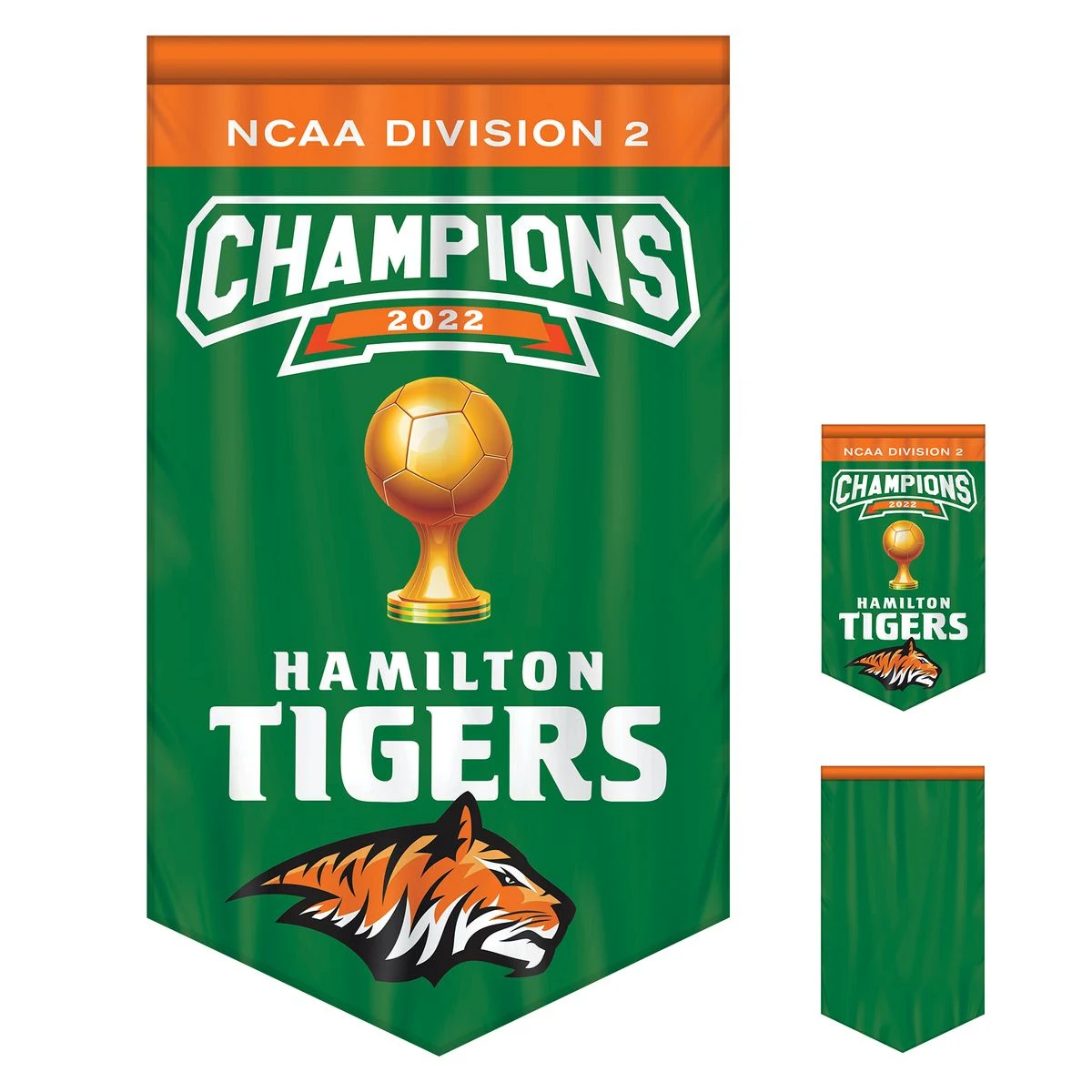 3' x 5' Championship Banner Single Sided with Backliner V-Cut 1