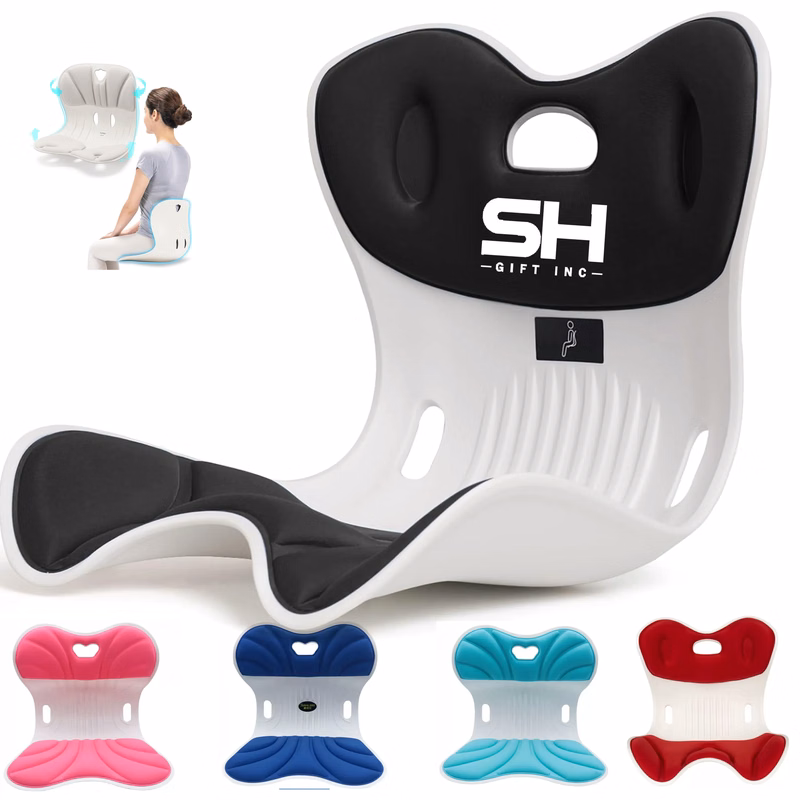 Ergonomic Back Support Chair