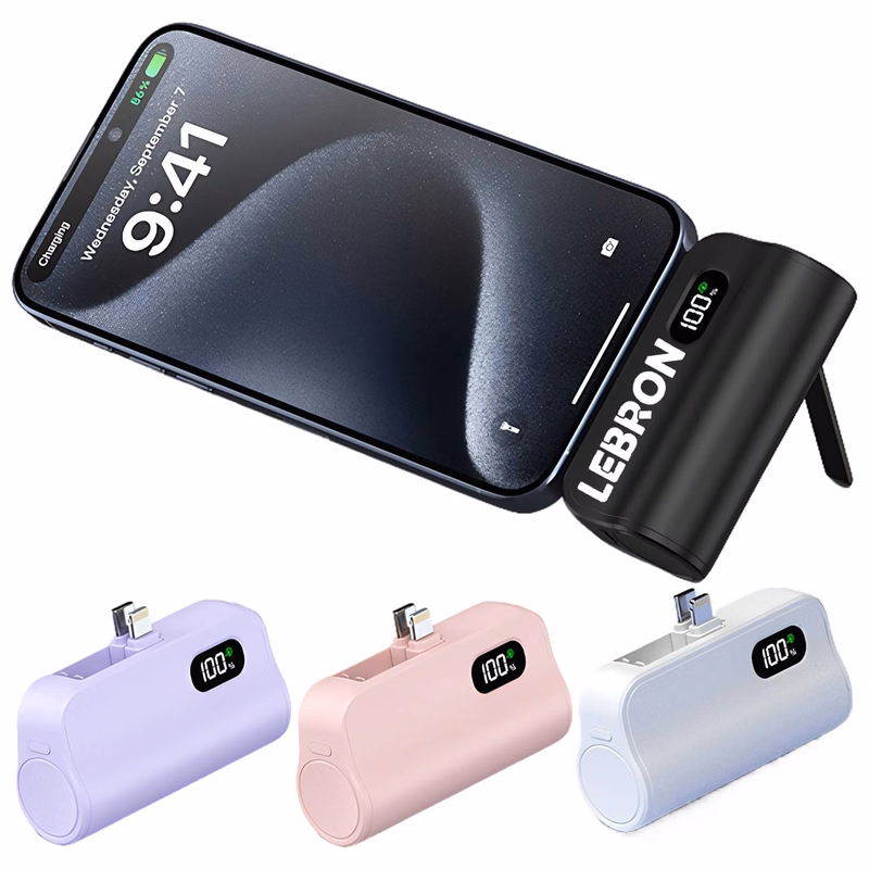 10000mAh Mini Hidden Dual-Port Portable Power Bank