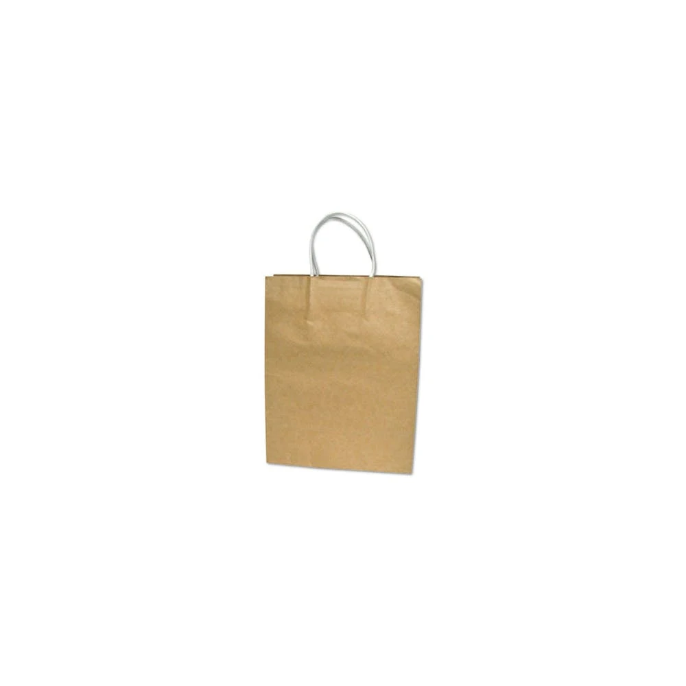 Brown Paper Shopping Bags - Large 2 Handles 50 Pack 1