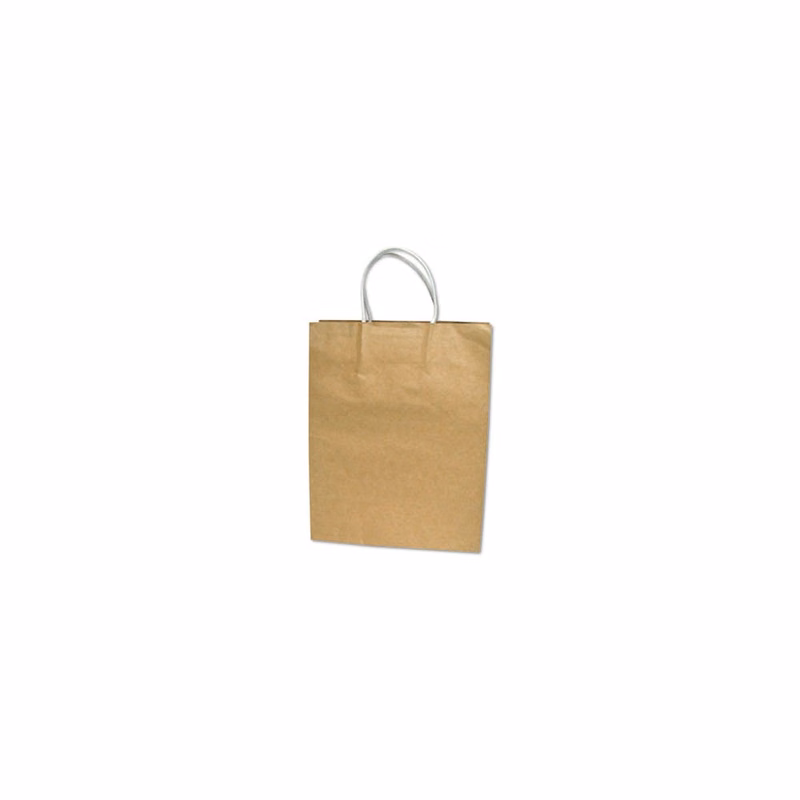 Brown Paper Shopping Bags - Large 2 Handles 50 Pack