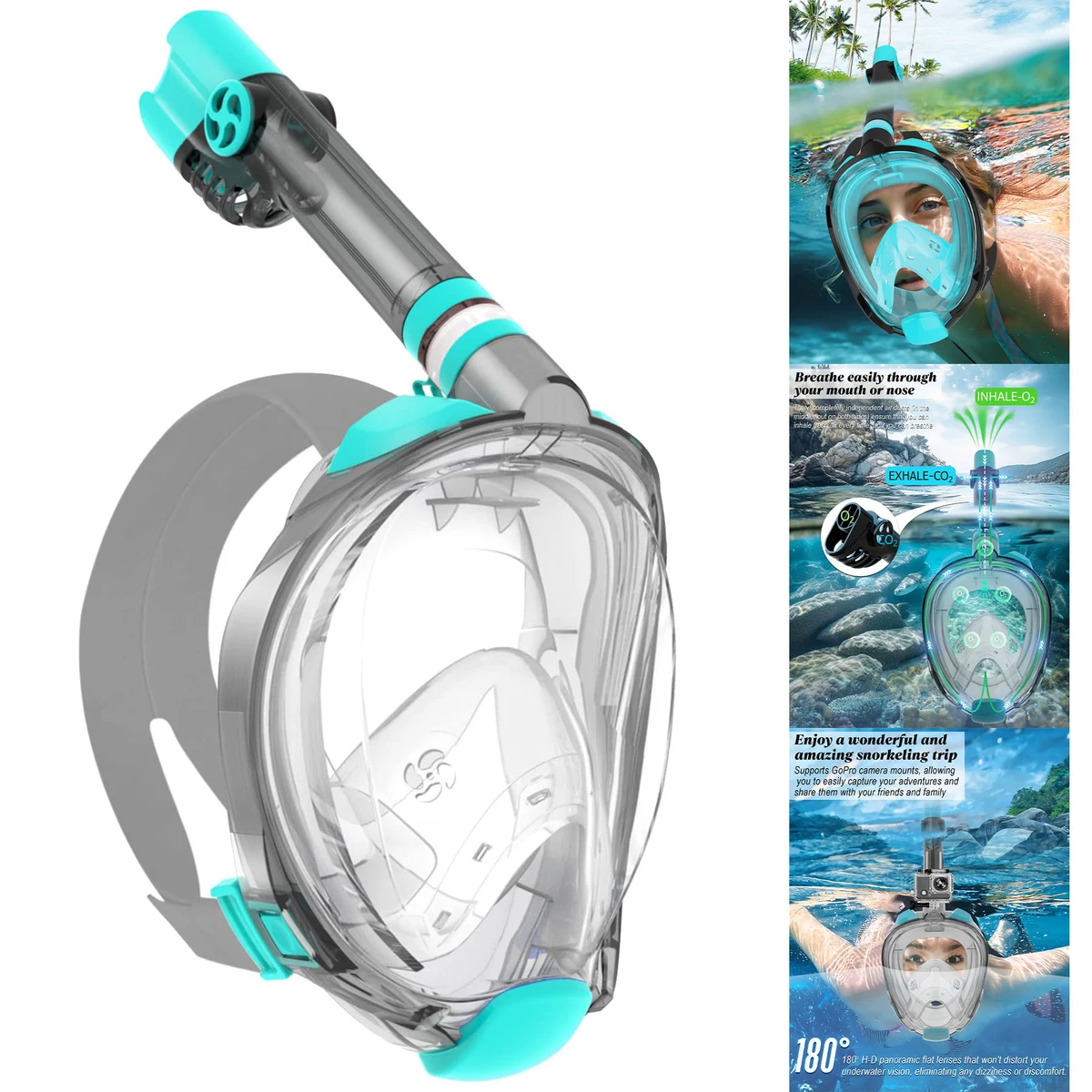 Snorkel Mask 1