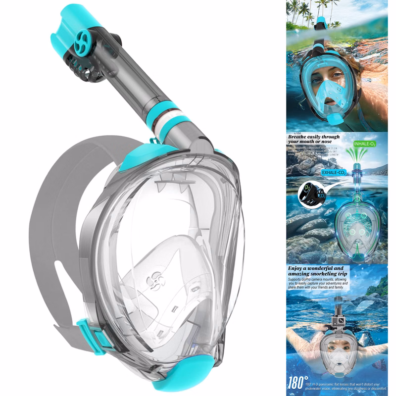 Snorkel Mask