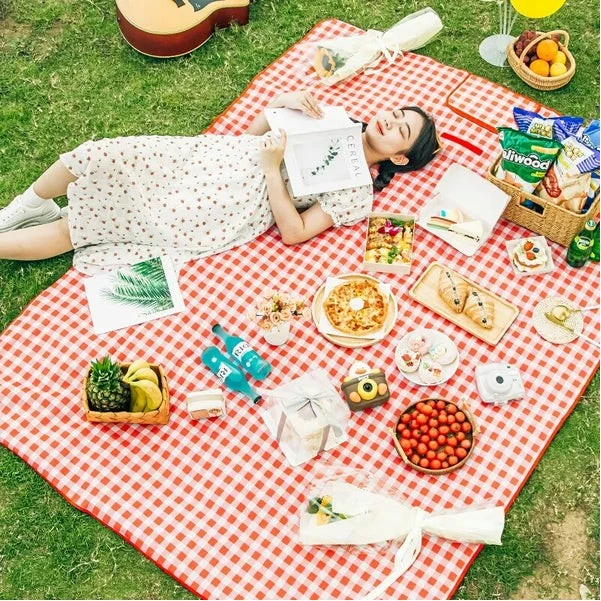 Portable Folding Picnic Blanket With Handle 1