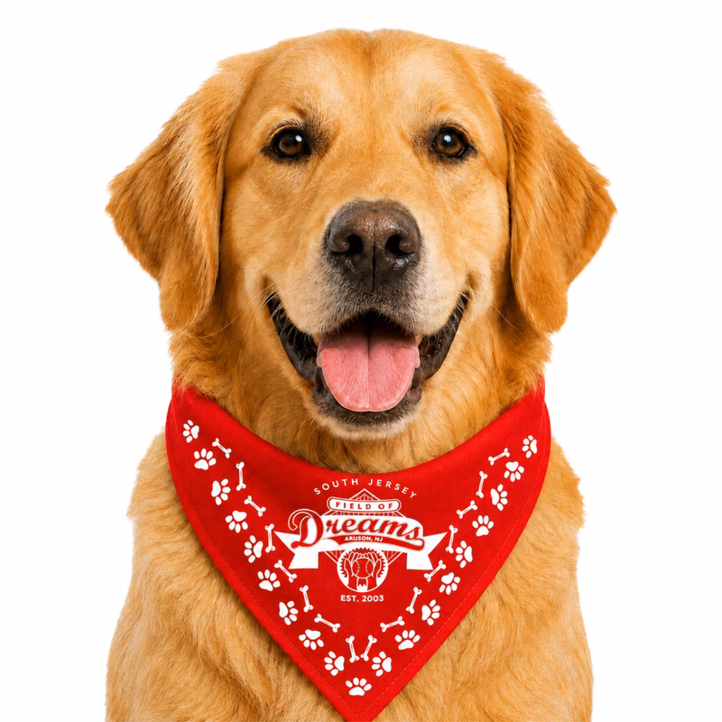Pet Bandanna