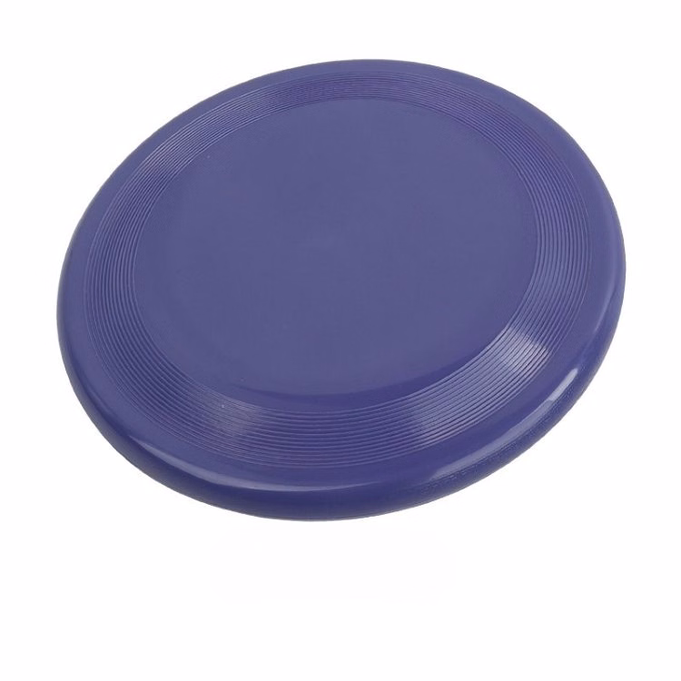 Wide 10 Inch PP Frisbee