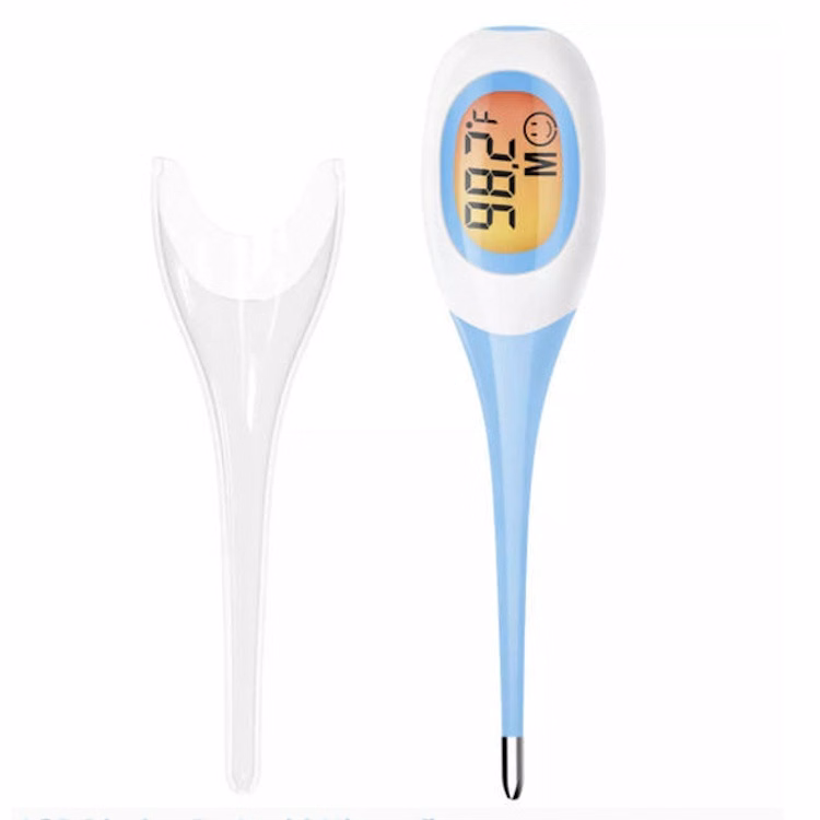 SpeedRead Digital Thermometer