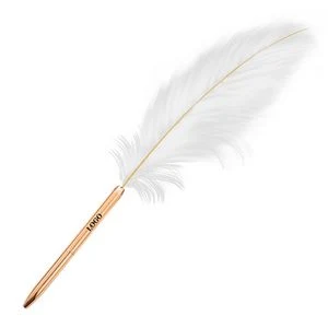 Feather Metal Pen 1