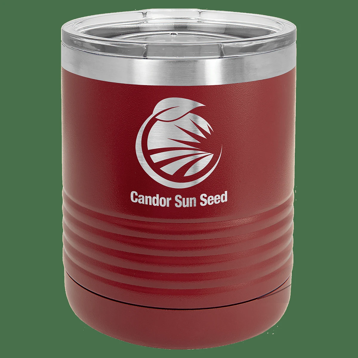 Polar Camel 10 oz. Maroon Vacuum Insulated Ringneck Tumbler with Clear Lid 1