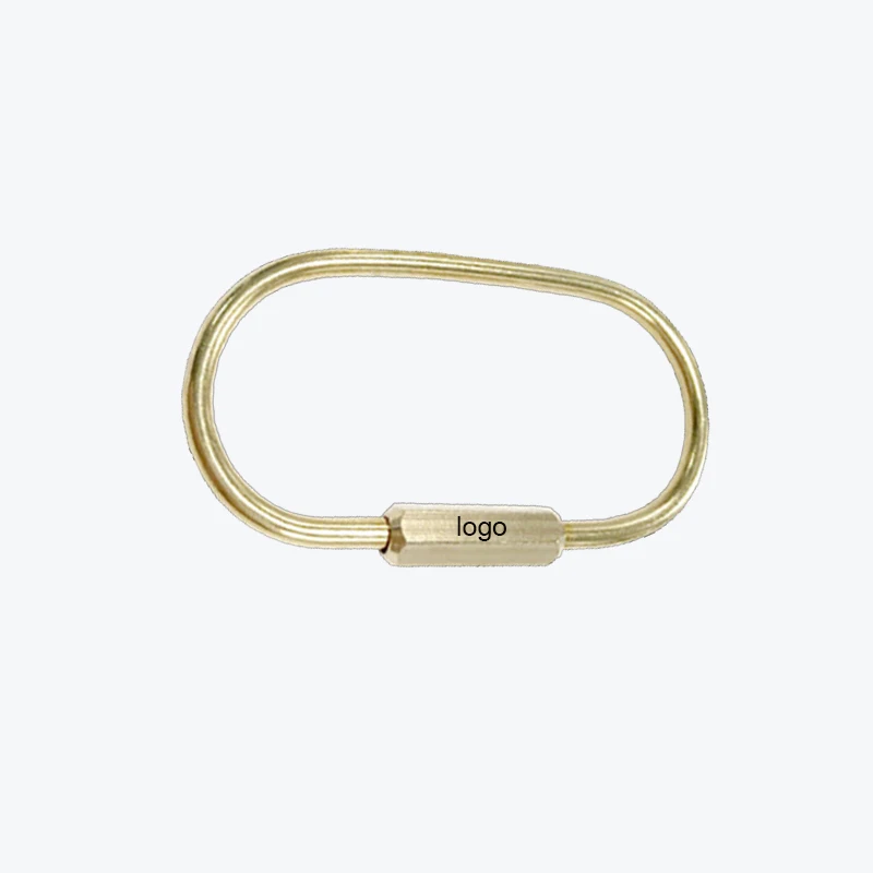 Ellipse Shape Screw Lock Clip Carabiner 1