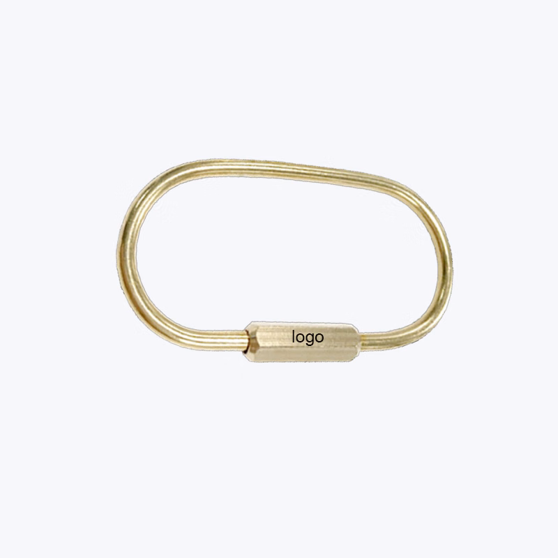 Ellipse Shape Screw Lock Clip Carabiner