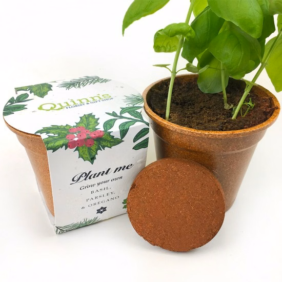 Season's Greenings Herb Seed Paper Sprouter Kits