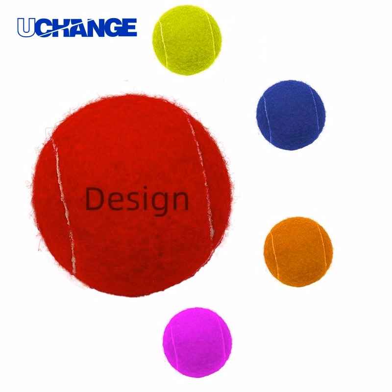Full Color Pet Training Tennis Ball Toy