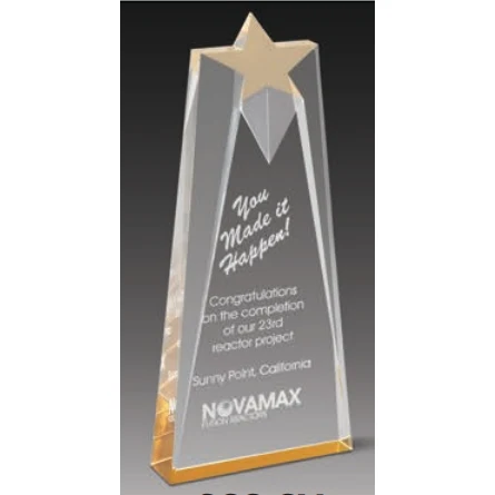 Sculptured Star Tower Award 1