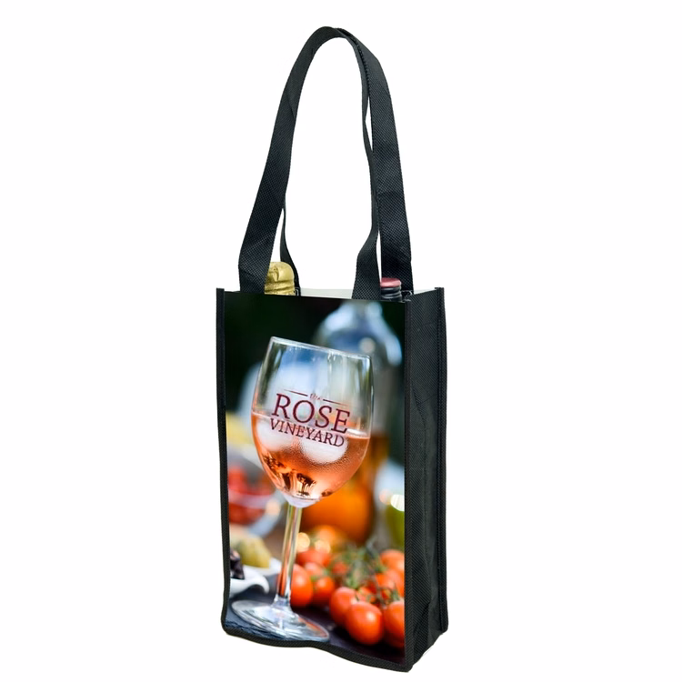 2 Bottle Wine Bag w/ Collapsible Bottle Pockets