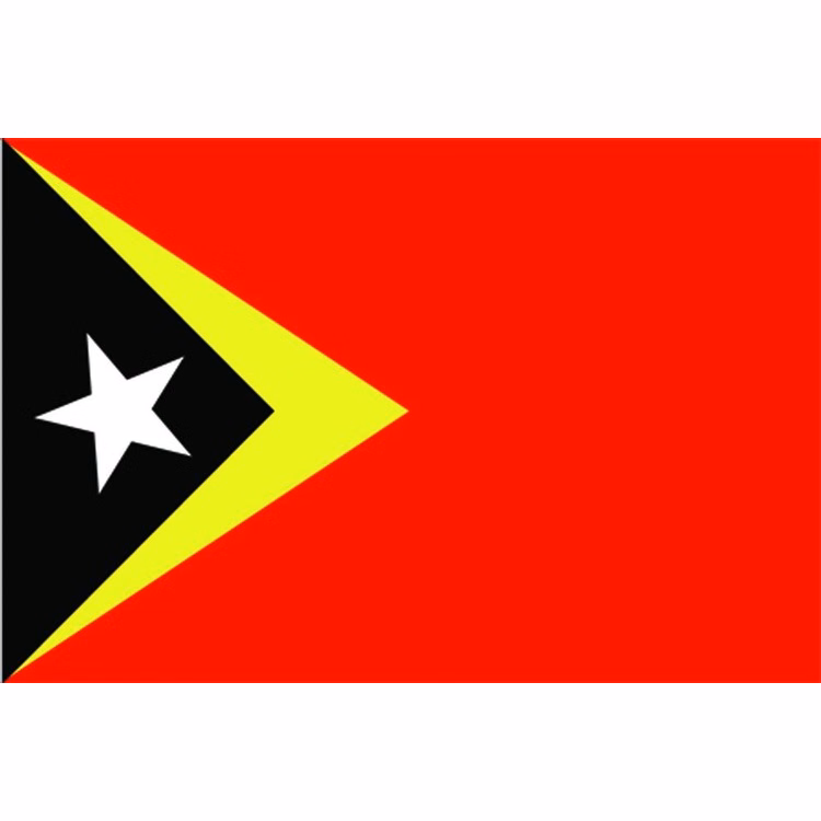 East Timor Flag - 2' x 3' - Nylon