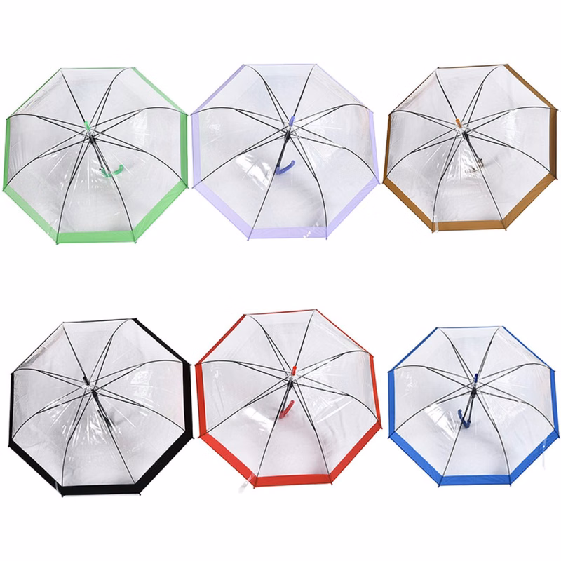 Clear and Transparent Umbrella