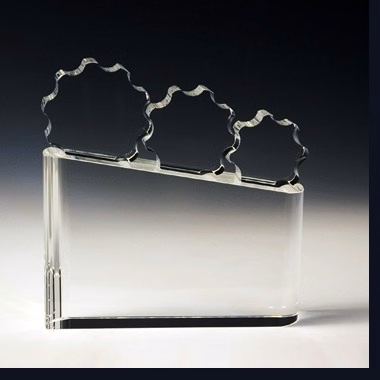 Synergy Crystal Award