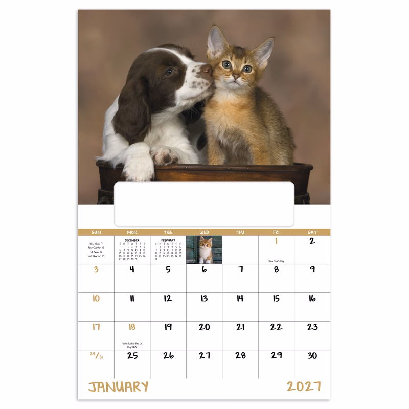 Good Value™ Puppies & Kittens - Window Calendar