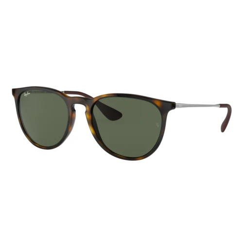 Ray-Ban Women's Erika Classic Sunglasses 1