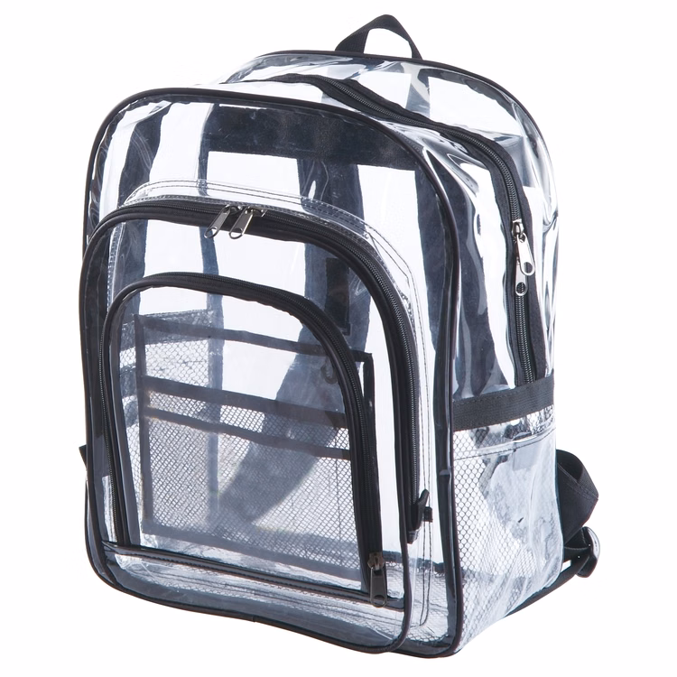 The Large Clear Backpack