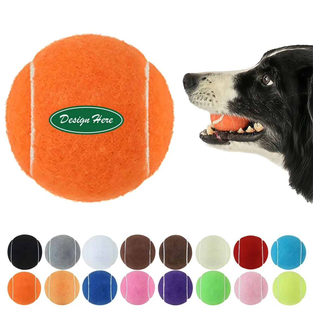 Dog Play Ball 1