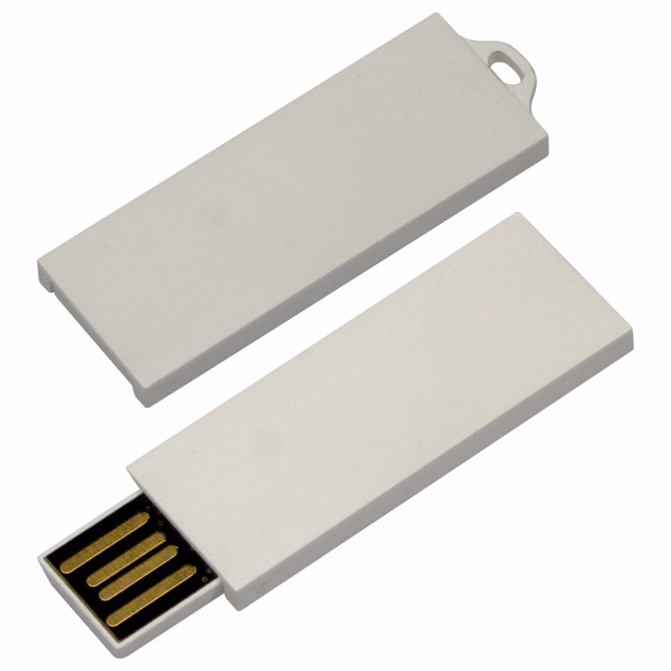 1900FMS - Flash Memory Drive V2.0