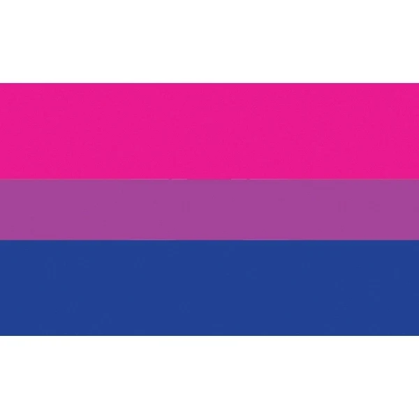 Bisexual Motorcycle Flag 1