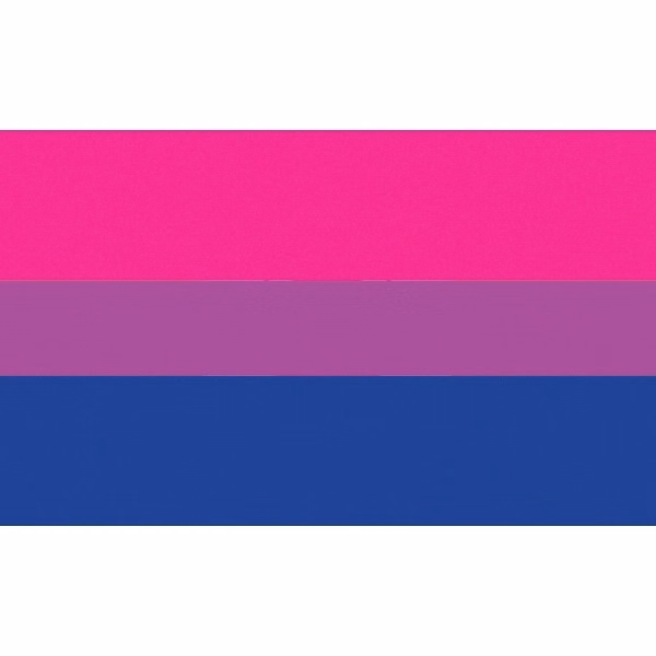 Bisexual Motorcycle Flag