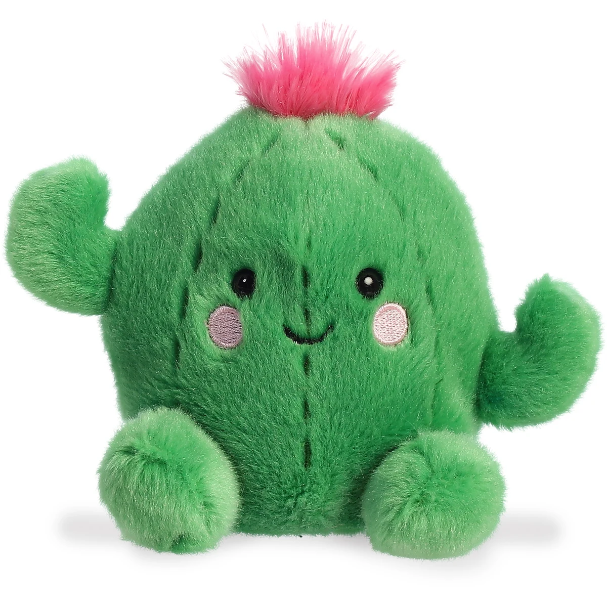 5" Prickles Cactus 1