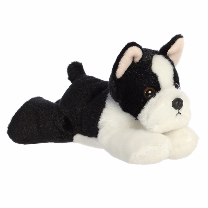 8" Boston Terrier