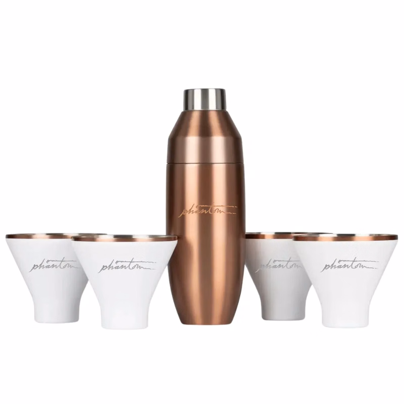 Insulated Cocktail Shaker and Martini Tumbler Barware Set