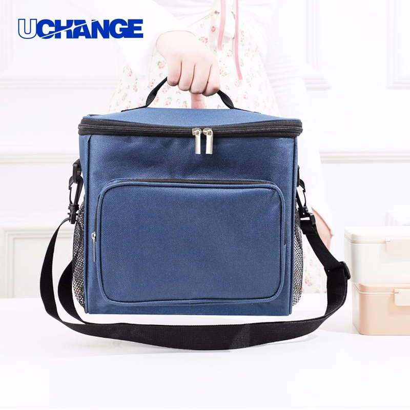 Large Insulated Lunch Bag Organizer