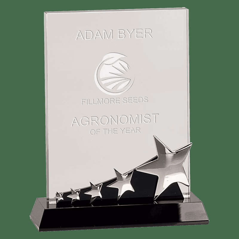 Rectangular Crystal Award With Silver Stars On Base