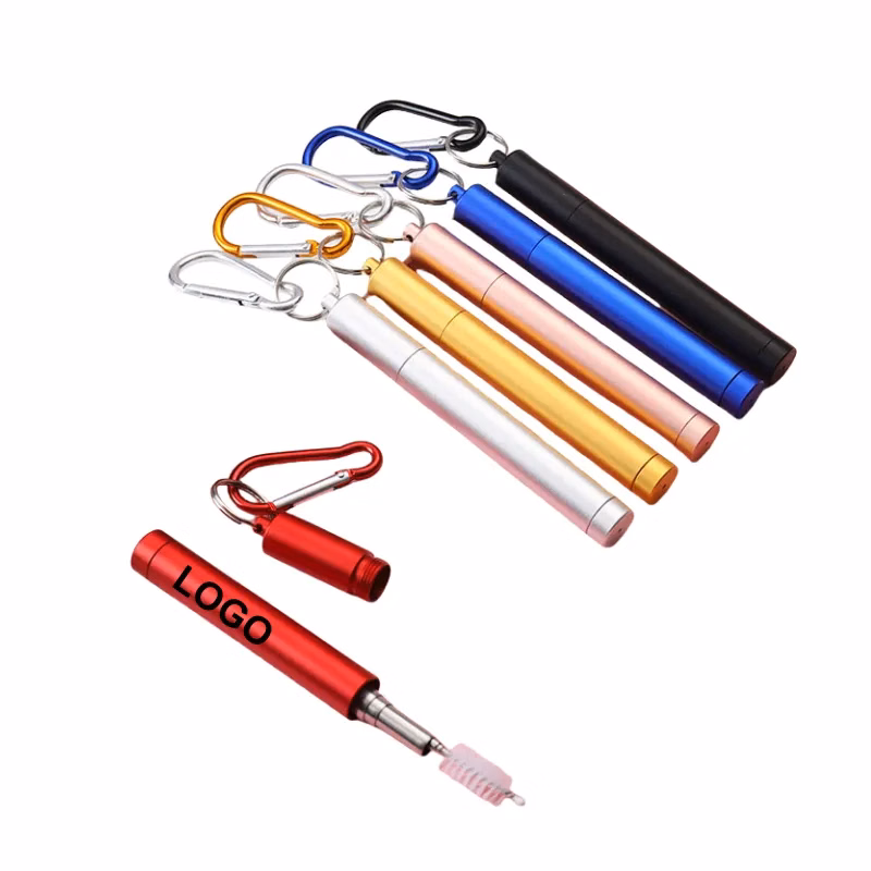 Stainless Steel Straw Set