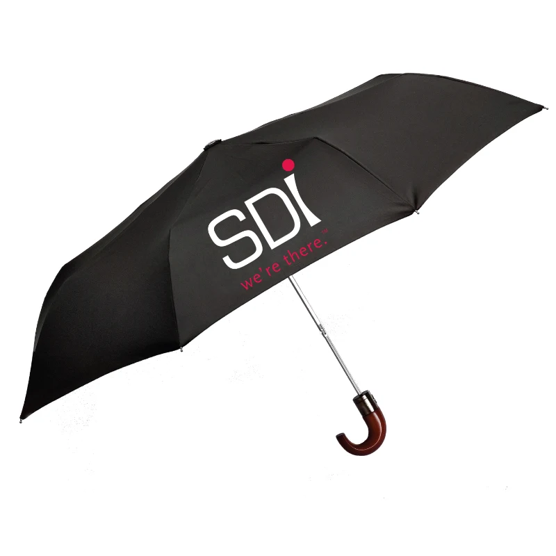 The Classic Curve Umbrella 1