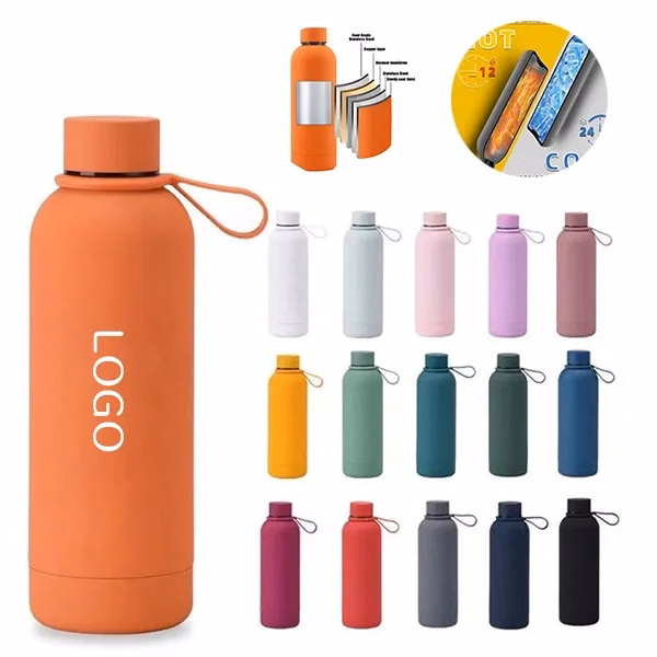 17 oz Stainless Steel Insulated Water Bottle