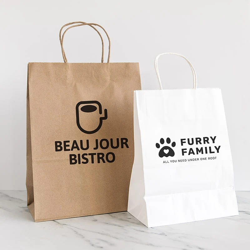 10 X 13 Inch Custom Twisted Handle Paper Shopping Bags 1