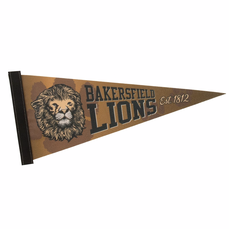 8" x 18" Premium Felt Pennant