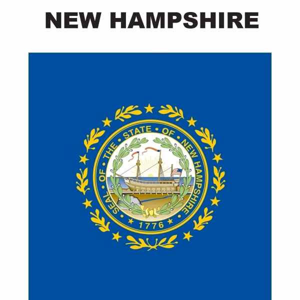 Mini Banner - New Hampshire