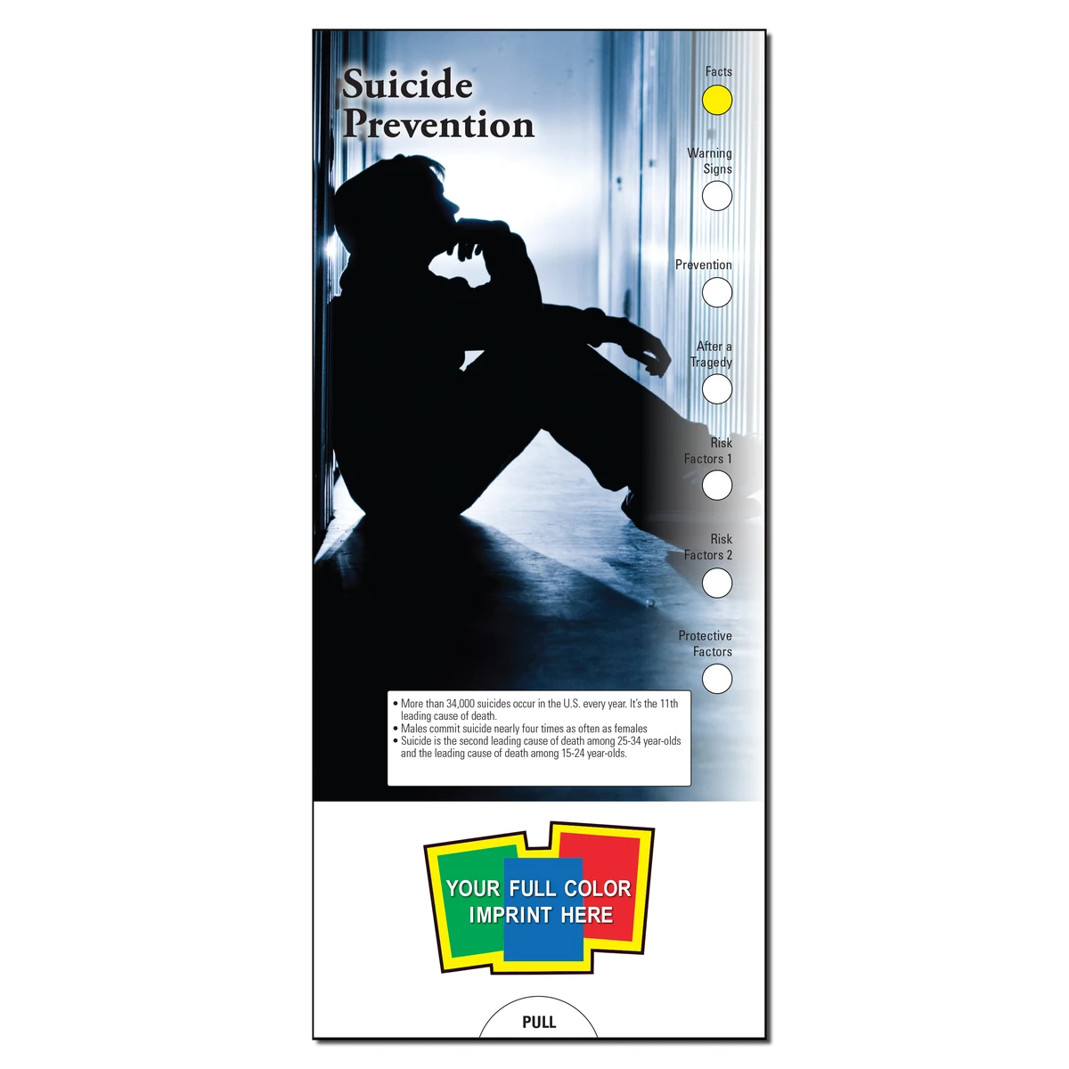 SLIDE CHART - Suicide Prevention Slide Chart 1